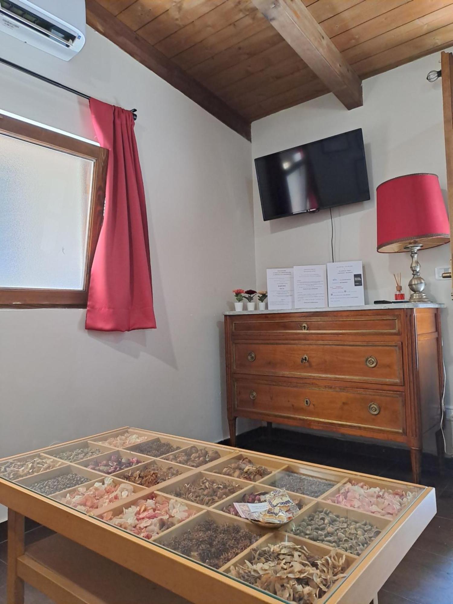 Apartament Liberty House Turyn Zewnętrze zdjęcie